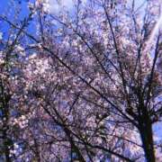 ヒメ日記 2026/04/21 15:01 投稿 せつな ソープランド AQUA（アクア）