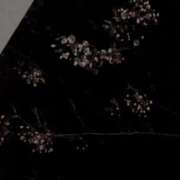 ヒメ日記 2026/04/23 13:48 投稿 せつな ソープランド AQUA（アクア）