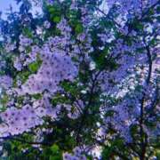 ヒメ日記 2026/04/30 17:19 投稿 せつな ソープランド AQUA（アクア）