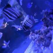 ヒメ日記 2026/06/07 12:03 投稿 せつな ソープランド AQUA（アクア）