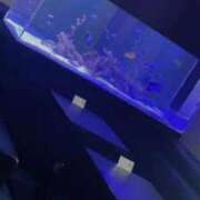 ヒメ日記 2026/06/08 15:08 投稿 せつな ソープランド AQUA（アクア）