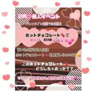 ヒメ日記 2025/02/14 12:02 投稿 うい ハピネス東京