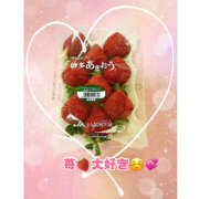 ヒメ日記 2025/12/28 02:07 投稿 うい ハピネス東京