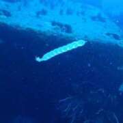 ヒメ日記 2025/07/02 12:49 投稿 有馬 かなで カサノヴァ