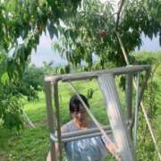 ヒメ日記 2025/08/23 17:09 投稿 有馬 かなで カサノヴァ