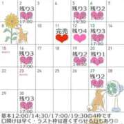 ヒメ日記 2025/08/24 19:39 投稿 有馬 かなで カサノヴァ