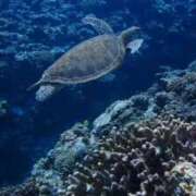 ヒメ日記 2025/09/10 07:49 投稿 有馬 かなで カサノヴァ