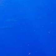 ヒメ日記 2025/11/18 13:09 投稿 有馬 かなで カサノヴァ