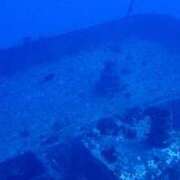 ヒメ日記 2025/11/19 19:19 投稿 有馬 かなで カサノヴァ