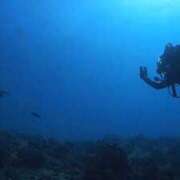 ヒメ日記 2025/11/19 21:49 投稿 有馬 かなで カサノヴァ