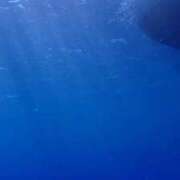 ヒメ日記 2025/11/20 01:59 投稿 有馬 かなで カサノヴァ