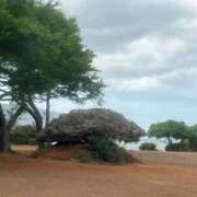 ヒメ日記 2025/11/21 17:59 投稿 有馬 かなで カサノヴァ