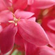 ヒメ日記 2025/11/22 03:29 投稿 有馬 かなで カサノヴァ