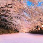 ヒメ日記 2025/03/24 05:45 投稿 さくら 池袋マリン別館