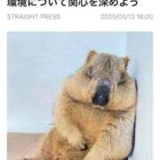 ヒメ日記 2025/05/14 10:30 投稿 さくら 池袋マリン別館