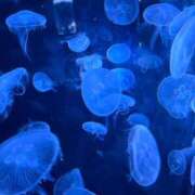 ヒメ日記 2025/05/25 09:53 投稿 さくら 池袋マリン別館