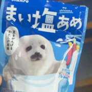 ヒメ日記 2025/07/12 09:20 投稿 さくら 池袋マリン別館