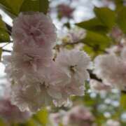 ヒメ日記 2025/05/01 18:35 投稿 あん 谷町人妻ゴールデン倶楽部