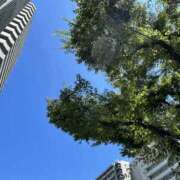 ヒメ日記 2025/07/15 15:50 投稿 あん 谷町人妻ゴールデン倶楽部