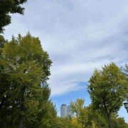 ヒメ日記 2025/10/04 20:00 投稿 あん 谷町人妻ゴールデン倶楽部