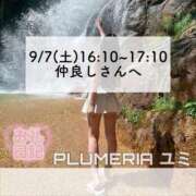 ヒメ日記 2024/09/28 07:23 投稿 ユミ◆【PREMIUM】 PLUMERIA（プルメリア）