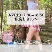 ヒメ日記 2024/09/28 08:23 投稿 ユミ◆【PREMIUM】 PLUMERIA（プルメリア）