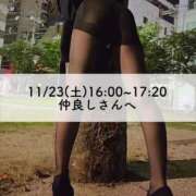 ヒメ日記 2024/12/12 19:57 投稿 ユミ◆【PREMIUM】 PLUMERIA（プルメリア）