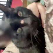 ヒメ日記 2025/01/17 13:23 投稿 ユミ◆【PREMIUM】 PLUMERIA（プルメリア）