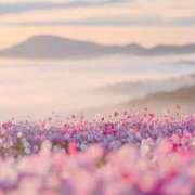 ヒメ日記 2025/03/26 13:45 投稿 あずさ 宮崎ちゃんこ都城店