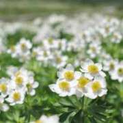 ヒメ日記 2025/07/07 10:47 投稿 あずさ 宮崎ちゃんこ都城店