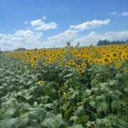 ヒメ日記 2025/08/15 17:05 投稿 あずさ 宮崎ちゃんこ都城店