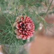 ヒメ日記 2025/10/11 19:15 投稿 あずさ 宮崎ちゃんこ都城店