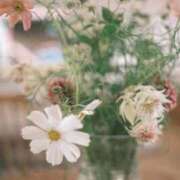 ヒメ日記 2025/11/01 07:49 投稿 あずさ 宮崎ちゃんこ都城店