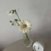 ヒメ日記 2025/11/08 22:19 投稿 あずさ 宮崎ちゃんこ都城店