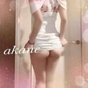 ヒメ日記 2025/02/03 21:36 投稿 茜/Akane ジュリエット