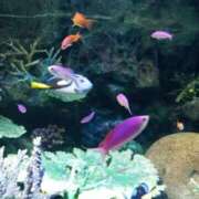 ヒメ日記 2024/12/23 09:55 投稿 とも 池袋おかあさん