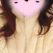 ヒメ日記 2024/12/24 08:54 投稿 とも 池袋おかあさん