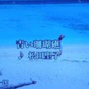 ヒメ日記 2024/12/30 12:05 投稿 とも 池袋おかあさん