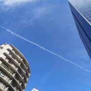 ヒメ日記 2025/01/03 07:39 投稿 とも 池袋おかあさん