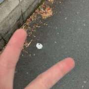 ヒメ日記 2025/01/07 09:04 投稿 とも 池袋おかあさん