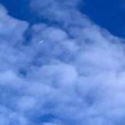 ヒメ日記 2025/01/17 08:44 投稿 とも 池袋おかあさん