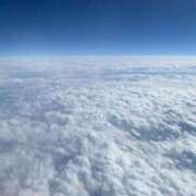 ヒメ日記 2025/01/29 02:24 投稿 とも 池袋おかあさん