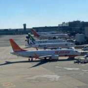 ヒメ日記 2025/01/29 07:01 投稿 とも 池袋おかあさん