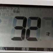 ヒメ日記 2025/02/13 20:24 投稿 とも 池袋おかあさん