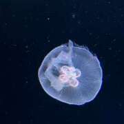 ヒメ日記 2025/03/21 08:59 投稿 とも 池袋おかあさん