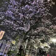 ヒメ日記 2025/03/30 08:24 投稿 とも 池袋おかあさん