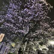 ヒメ日記 2025/03/31 20:34 投稿 とも 池袋おかあさん