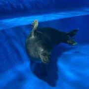 ヒメ日記 2025/04/04 13:14 投稿 とも 池袋おかあさん