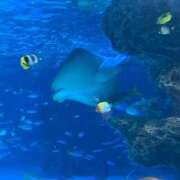 ヒメ日記 2025/04/06 10:54 投稿 とも 池袋おかあさん