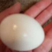 ヒメ日記 2025/04/07 08:44 投稿 とも 池袋おかあさん